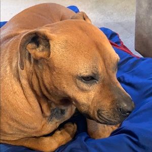 Meet your Posher, Tammy